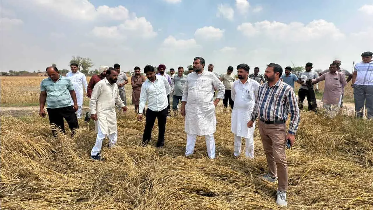 Fazilka News: ਵਿਧਾਇਕ ਜਗਦੀਪ ਕੰਬੋਜ ਗੋਲਡੀ ਵੱਲੋਂ ਮੀਂਹ ਤੇ ਗੜੇਮਾਰੀ ਕਾਰਨ ਅਰਨੀਵਾਲਾ ਬਲਾਕ ਦੇ ਪਿੰਡਾਂ ਦਾ ਦੌਰਾ