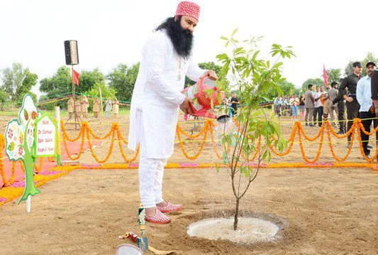 ਰੁੱਖ ਬਣ ਕੇ ਲਹਿਰਾ ਰਹੇ ਨੇ ਸਾਧ-ਸੰਗਤ ਵੱਲੋਂ ਲਾਏ ਪੌਦੇ