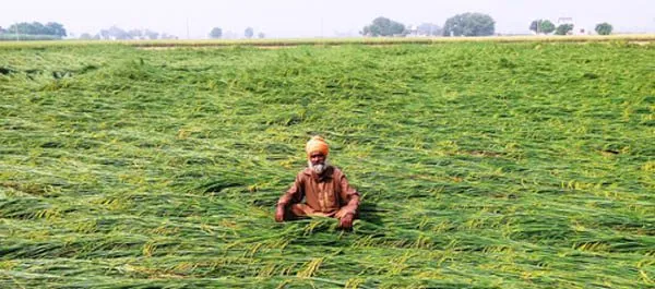 ‘ਕੈਪਟਨ ਨਾਲ ਯਾਰੀ, ਕਿਸਾਨਾਂ ਨੂੰ ਪਈ ਭਾਰੀ, ਕਰਜ਼ਾ ਕੁਰਕੀ ਨਿਰੰਤਰ ਜਾਰੀ’