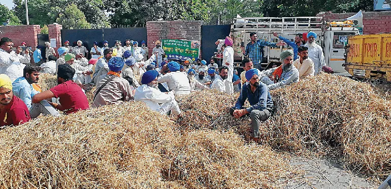 ਕਿਸਾਨਾਂ ਜ਼ਿਲ੍ਹਾ ਪ੍ਰਬੰਧਕੀ ਕੰਪਲੈਕਸ ਮੂਹਰੇ ਲਾਏ ਪਰਾਲੀ ਦੇ ਢੇਰ