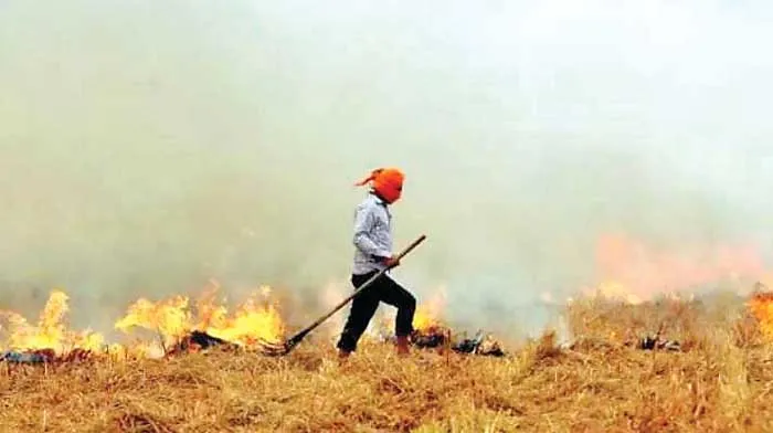 ਪਰਾਲੀ ਦਾ ਹਲ਼ ਕੱਢਣ ਲਈ ਕਮੇਟੀ ਦਾ ਗਠਨ, ਮਹਿਤਾਬ ਗਿੱਲ ਨੂੰ ਲਗਾਇਆ ਚੇਅਰਮੈਨ