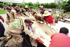 Dera Sacha Sauda