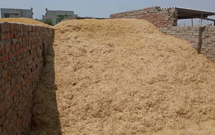 ਕਣਕ ਤੋਂ ਬਾਅਦ ਹੁਣ ਤੂੜੀ ਸਾਂਭਣ ਲੱਗੇ ਕਿਸਾਨ