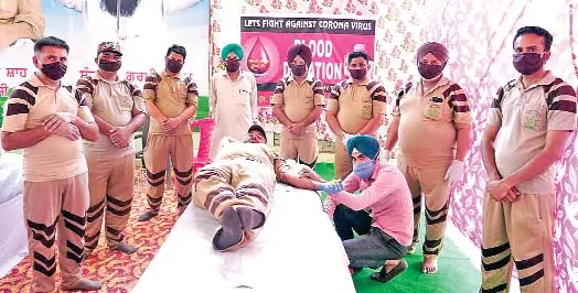 ਕੋਰੋਨਾ ਦੌਰਾਨ ਡੇਰਾ ਸੱਚਾ ਸੌਦਾ ਦੇ ਸੇਵਾਦਾਰ ਖ਼ੂਨਦਾਨ ਕਰਕੇ ਬਚਾਉਣ ਲੱਗੇ ਜ਼ਿੰਦਗੀਆਂ