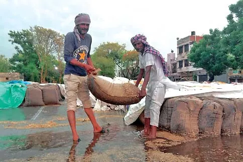 ਮੀਂਹ ਪਿਆ, ਮੌਸਮ ਹਾਲੇ ਵੀ ਖਰਾਬ, ਖੁੱਲ੍ਹੇ ਅਸਮਾਨ ਹੇਠਾਂ ਹੈ ਕਈ ਟਨ ਅਨਾਜ