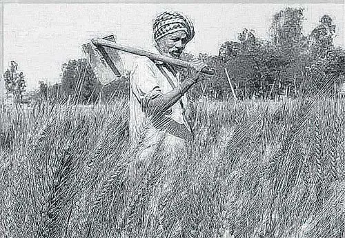ਝੰਡਾ ਕਿਰਸਾਨੀ ਦਾ