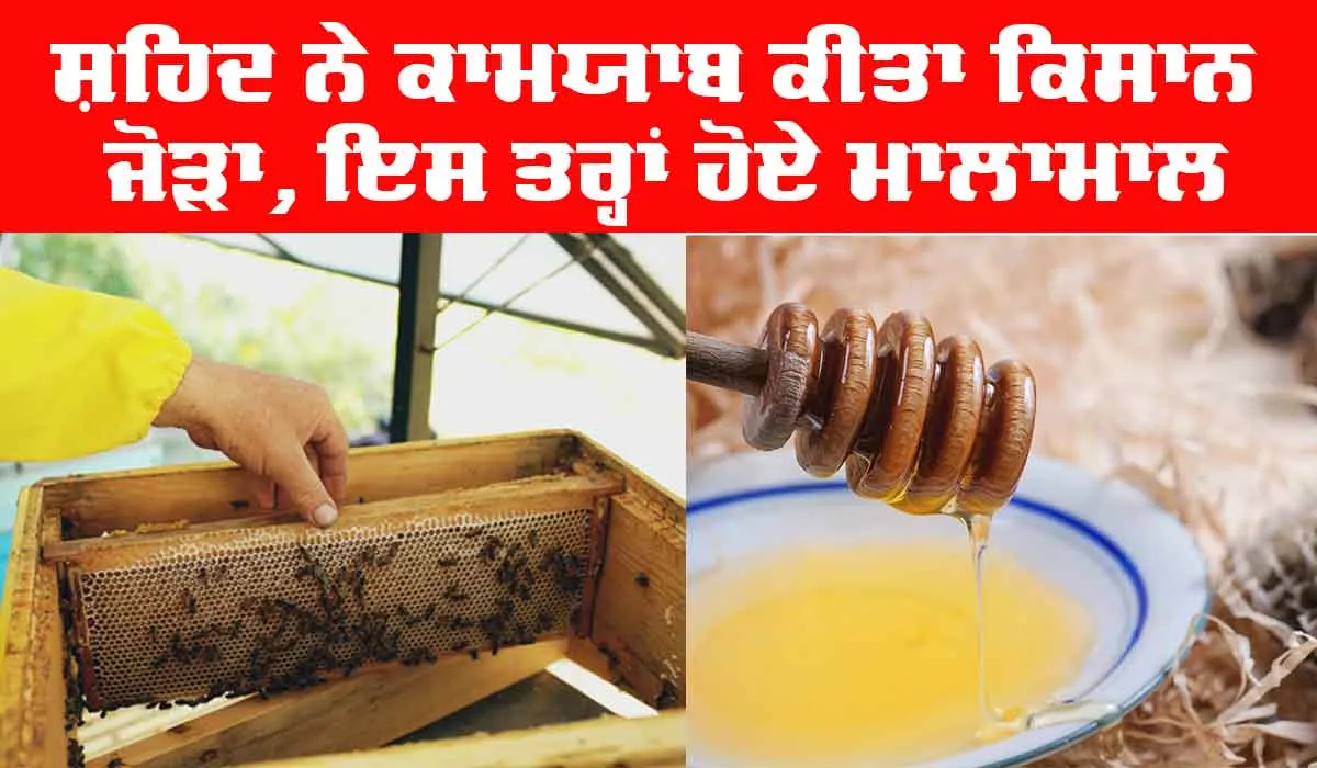Success Story of Farmer: ਸ਼ਹਿਦ ਨੇ ਕਾਮਯਾਬ ਕੀਤਾ ਕਿਸਾਨ ਜੋੜਾ, ਇਸ ਤਰ੍ਹਾਂ ਹੋਏ ਮਾਲਾਮਾਲ