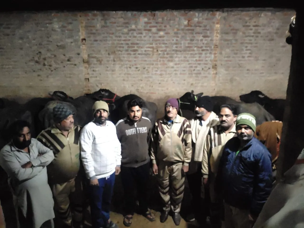 ਡੇਰਾ ਸ਼ਰਧਾਲੂਆਂ ਦੀ ਹਿੰਮਤ ਸਦਕਾ ਮੱਝਾਂ ਦੇ ਵਪਾਰੀ ਦਾ ਲੱਖਾਂ ਦੇ ਨੁਕਸਾਨ ਤੋਂ ਬਚਾਅ
