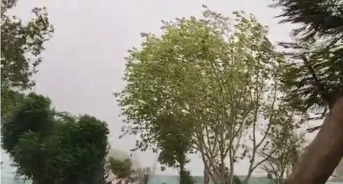 Storm In Sirsa