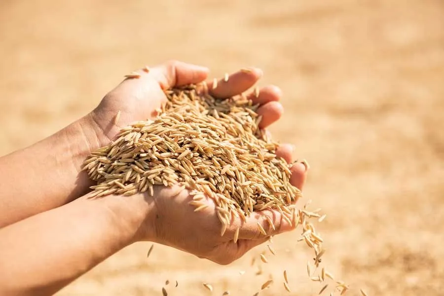 Agriculture