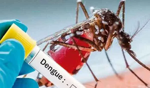 Punjab Dengue Update: ਪੰਜਾਬ ’ਚ ਡੇਂਗੂ ਦੇ 451 ਮਾਮਲੇ, ਚਿਕਨਗੁਨੀਆ ਦੇ 16 ਕੇਸ