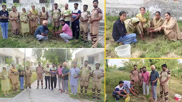 158ਵੇਂ ਕਾਰਜ ‘Tree Campaign Green’ ਤਹਿਤ ਸੇਵਾਦਾਰਾਂ ਨੇ ਲਗਾਏ ਪੂਜਨੀਕ ਗੁਰੂ ਜੀ ਦੀ ਉਮਰ ਦੇ ਬਰਾਬਰ 56 ਪੌਦੇ