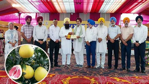 ਡੇਰਾ ਸੱਚਾ ਸੌਦਾ ਰਾਜਗੜ੍ਹ-ਸਲਾਬਤਪੁਰਾ ਦਾ ‘ਚਕੋਤਰਾ’ ਲਗਾਤਾਰ ਚੌਥੇ ਸਾਲ ਪੰਜਾਬ ’ਚੋਂ ਪਹਿਲੇ ਸਥਾਨ ’ਤੇ