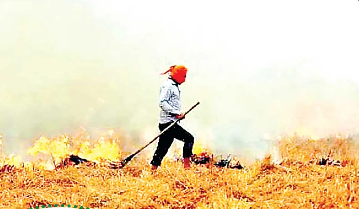 ਮੁਸੀਬਤ ਬਣ ਸਕਦੈ ਝੋਨੇ ਦੀ ਪਰਾਲੀ ਨੂੰ ਅੱਗ ਲਾਉਣ ਦਾ ਰੁਝਾਨ