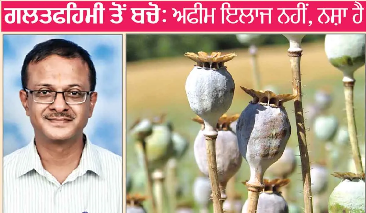 Opium: ਗਲਤਫਹਿਮੀ ਤੋਂ ਬਚੋ, ਇਲਾਜ ਨਹੀਂ, ਨਸ਼ਾ ਹੈ ਅਫੀਮ