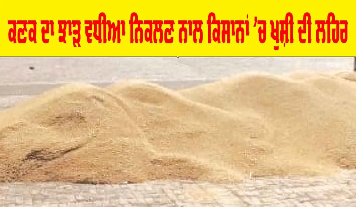 ਕਣਕ ਦਾ ਝਾੜ ਵਧੀਆ ਨਿਕਲਣ ਨਾਲ ਕਿਸਾਨਾਂ ’ਚ ਖੁਸ਼ੀ ਦੀ ਲਹਿਰ