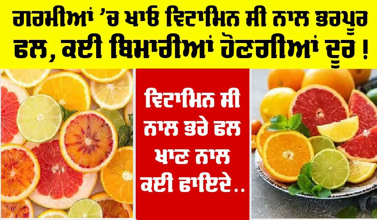Vitamin C Fruits: ਕੀ ਵਿਟਾਮਿਨ C ਨਾਲ ਭਰਪੂਰ ਫਲ ਗਰਮੀਆਂ ’ਚ ਖਾਣਾ ਹੈ ਫਾਇਦੇਮੰਦ ? ਜਾਣੋ