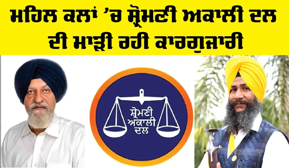 ਮਹਿਲ ਕਲਾਂ ’ਚ ਸ਼੍ਰੋਮਣੀ ਅਕਾਲੀ ਦਲ ਦੀ ਮਾੜੀ ਰਹੀ ਕਾਰਗੁਜਾਰੀ