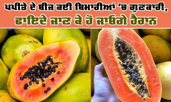 ਪਪੀਤਾ ਹੀ ਨਹੀ ਇਸ ਦੇ ਬੀਜ ਵੀ ਹਨ ਕਈ ਬਿਮਾਰੀਆਂ ’ਚ ਗੁਣਕਾਰੀ, ਫਾਇਦੇ ਜਾਣ ਕੇ ਹੋ ਜਾਓਗੇ ਹੈਰਾਨ