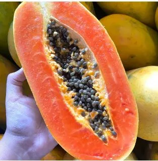 Benefits of Papaya Seeds