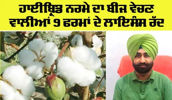 ਖੇਤੀਬਾੜੀ ਵਿਭਾਗ ਵੱਲੋਂ ਹਾਈਬ੍ਰਿਡ ਨਰਮੇ ਦਾ ਬੀਜ ਵੇਚਣ ਵਾਲੀਆਂ 9 ਫਰਮਾਂ ਦੇ ਲਾਇਸੰਸ ਰੱਦ