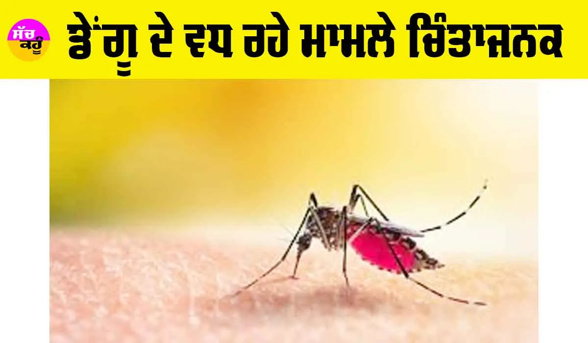 Dengue: ਡੇਂਗੂ ਦੇ ਵਧ ਰਹੇ ਮਾਮਲੇ ਚਿੰਤਾਜਨਕ
