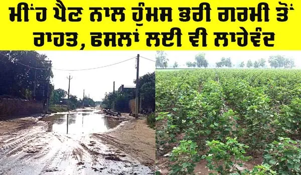 Weather Update: ਮੀਂਹ ਪੈਣ ਨਾਲ ਲੋਕਾਂ ਨੂੰ ਹੁੰਮਸ ਭਰੀ ਗਰਮੀ ਤੋਂ ਰਾਹਤ, ਝੋਨਾ ਤੇ ਨਰਮਾ ਲੱਗਿਆ ਟਹਿਕਣ