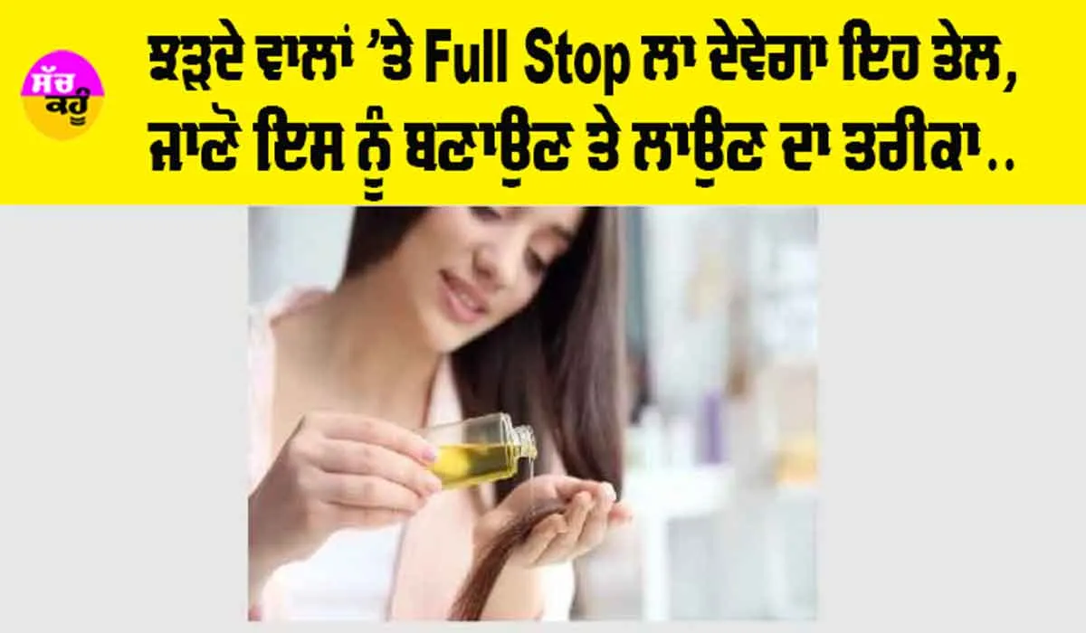 Hair Care Tips: ਝੜਦੇ ਵਾਲਾਂ ’ਤੇ Full Stop ਲਾ ਦੇਵੇਗਾ ਇਹ ਤੇਲ, ਜਾਣੋ ਇਸ ਨੂੰ ਬਣਾਉਣ ਤੇ ਲਾਉਣ ਦਾ ਤਰੀਕਾ…