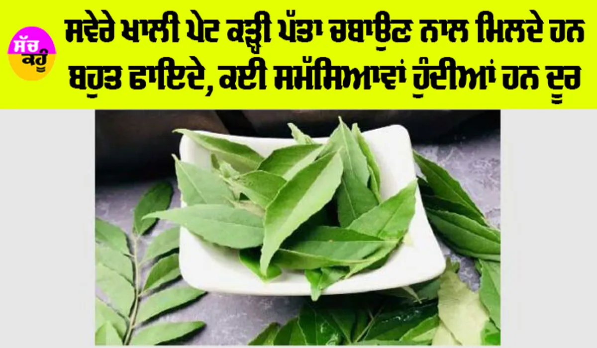 Curry Leaves Benefits: ਸਵੇਰੇ ਖਾਲੀ ਪੇਟ ਕੜ੍ਹੀ ਪੱਤਾ ਚਬਾਉਣ ਦੇ ਜਬਰਦਸਤ ਫਾਇਦੇ, ਭਾਰ ਘਟਾਉਣ ਦੇ ਨਾਲ-ਨਾਲ ਅੱਖਾਂ ਨੂੰ ਵੀ ਹੋਵੇਗਾ ਫਾਇਦਾ…