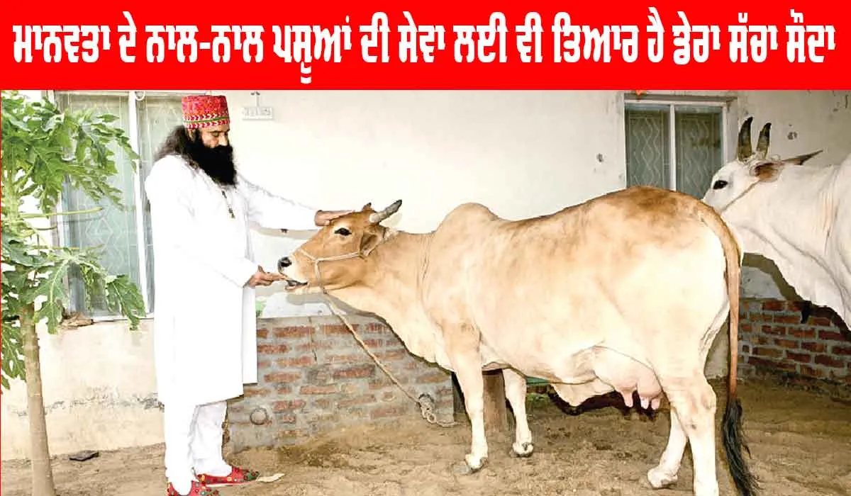 International Animal Day: ਪੂਜਨੀਕ ਗੁਰੂ ਜੀ ਦੇ ਪਵਿੱਤਰ ਮਾਰਗਦਰਸ਼ਨ ਵਿੱਚ ਪਸ਼ੂਆਂ ਦੇ ਕਲਿਆਣ ਲਈ ਕੀਤੇ ਜਾ ਰਹੇ ਸੱਤ ਭਲਾਈ ਕਾਰਜ