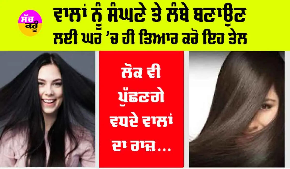 Hair Care: ਵਾਲਾਂ ਨੂੰ ਸੰਘਣੇ ਤੇ ਲੰਬੇ ਬਣਾਉਣ ਲਈ ਘਰ ’ਚ ਹੀ ਤਿਆਰ ਕਰੋ ਇਹ ਤੇਲ, ਲੋਕ ਵੀ ਪੁੱਛਣਗੇ ਵਧਦੇ ਵਾਲਾਂ ਦਾ ਰਾਜ਼…