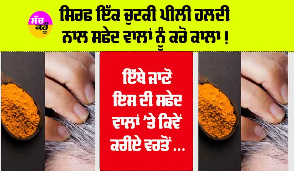 Turmeric For White Hair: ਕੀ ਚਿੱਟੇ ਵਾਲਾਂ ਨੂੰ ਕਾਲਾ ਕਰ ਸਕਦੀ ਹੈ ਹਲਦੀ? ਇੱਥੇ ਜਾਣੋ ਸਫੇਦ ਵਾਲਾਂ ’ਤੇ ਕਿਵੇਂ ਕਰੀਏ ਇਸ ਦੀ ਵਰਤੋਂ….