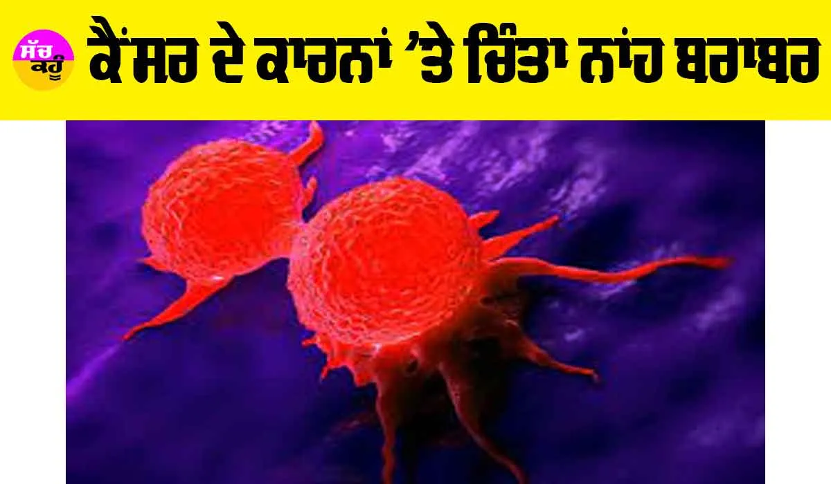 Anti Cancer Day: ਕੈਂਸਰ ਦੇ ਕਾਰਨਾਂ ’ਤੇ ਚਿੰਤਾ ਨਾਂਹ ਬਰਾਬਰ