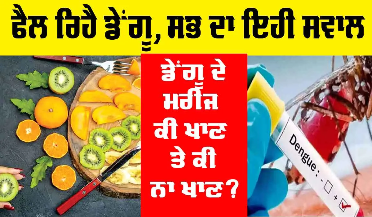 Health Tips: Dengue ਦੇ ਮਰੀਜ਼ ਕੀ ਖਾਣ ਤੇ ਕੀ ਨਾ ਖਾਣ…