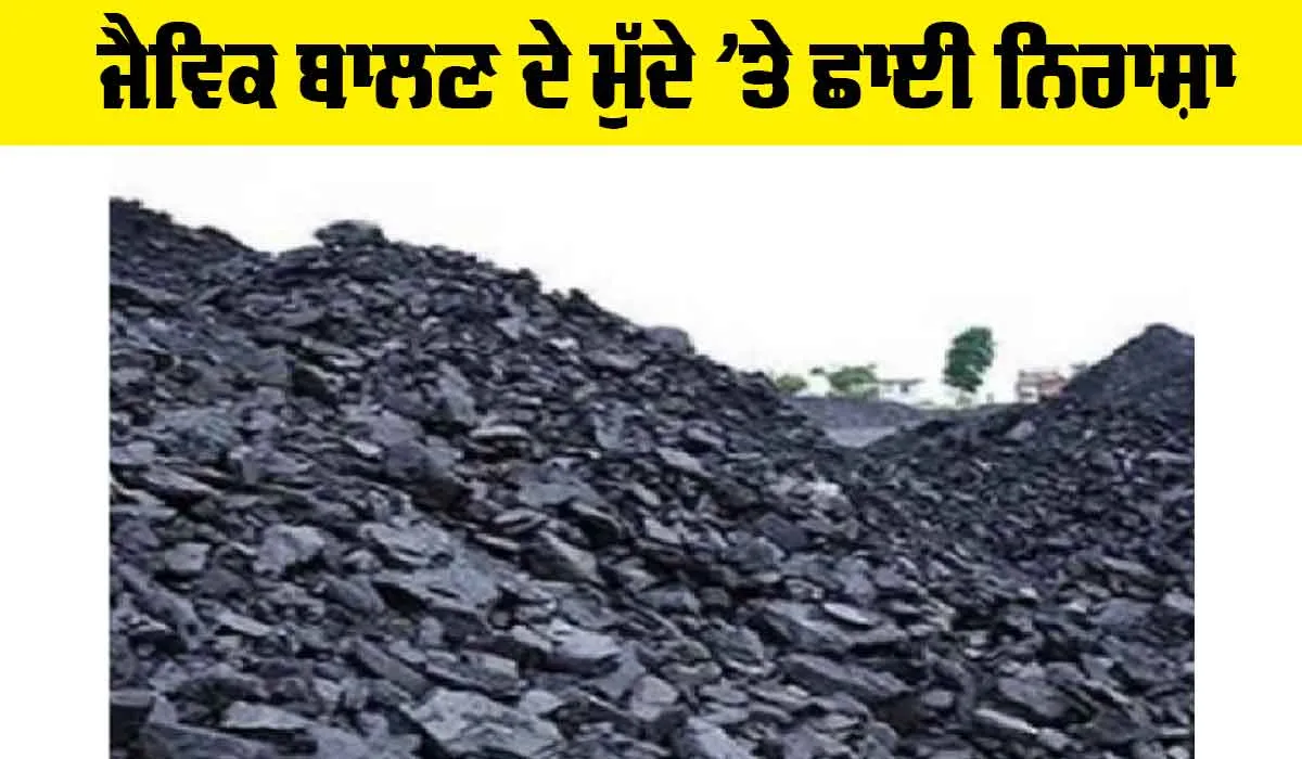 Fossil Fuel: ਜੈਵਿਕ ਬਾਲਣ ਦੇ ਮੁੱਦੇ ’ਤੇ ਛਾਈ ਨਿਰਾਸ਼ਾ