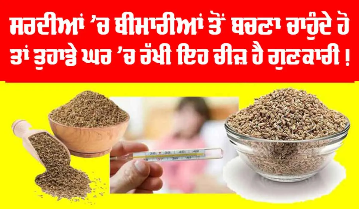 Health Benefits of Ajwain: ਸਰਦੀਆਂ ’ਚ ਬੀਮਾਰੀਆਂ ਤੋਂ ਬਚਣਾ ਚਾਹੁੰਦੇ ਹੋ ਤਾਂ ਤੁਹਾਡੇ ਘਰ ’ਚ ਰੱਖੀ ਇਹ ਚੀਜ਼ ਹੈ ਗੁਣਕਾਰੀ!