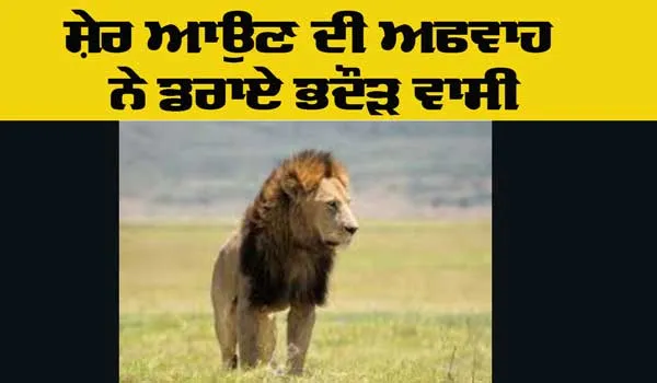 Lion Viral News: ਸ਼ੇਰ ਆਉਣ ਦੀ ਅਫਵਾਹ ਨੇ ਡਰਾਏ ਭਦੌੜ ਵਾਸੀ