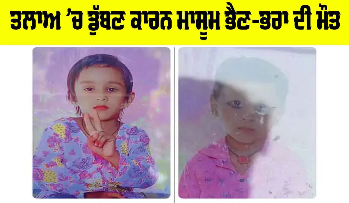 ਛੋਟੇ ਤਲਾਅ ‘ਚ ਡੁੱਬਣ ਕਾਰਨ ਮਾਸੂਮ ਭੈਣ-ਭਰਾ ਦੀ ਮੌਤ