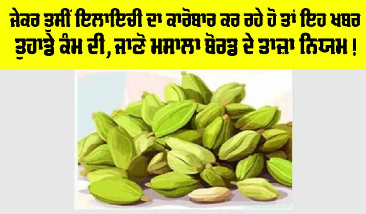 Cardamom: ਜੇਕਰ ਤੁਸੀਂ ਇਲਾਇਚੀ ਦਾ ਕਾਰੋਬਾਰ ਕਰ ਰਹੇ ਹੋ ਤਾਂ ਇਹ ਖਬਰ ਤੁਹਾਡੇ ਕੰਮ ਦੀ, ਜਾਣੋ ਮਸਾਲਾ ਬੋਰਡ ਦੇ ਤਾਜ਼ਾ ਨਿਯਮ!