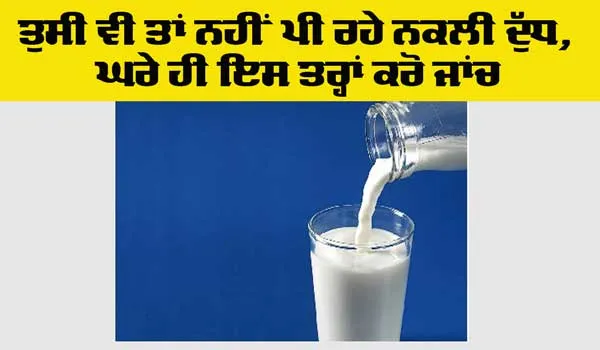 How to Check Fake Milk: ਤੁਸੀਂ ਵੀ ਤਾਂ ਨਹੀਂ ਪੀ ਰਹੇ ਨਕਲੀ ਦੁੱਧ, ਘਰੇ ਹੀ ਇਸ ਤਰ੍ਹਾਂ ਚੈੱਕ ਕਰੋ ਜਾਂਚ