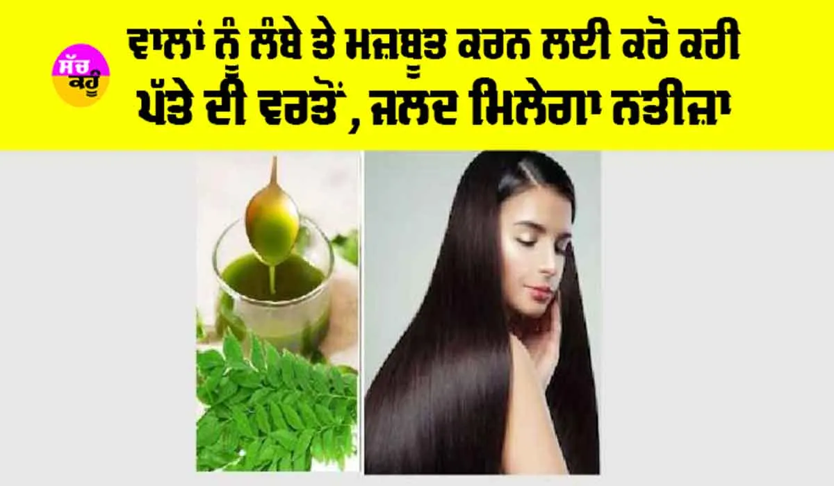 Long Hair Tips: ਵਾਲਾਂ ਨੂੰ ਲੰਬੇ ਤੇ ਮਜ਼ਬੂਤ ਕਰਨ ਲਈ ਕਰੋ ਕਰੀ ਪੱਤੇ ਦੀ ਵਰਤੋਂ, ਜਾਣੋ ਕਿਵੇਂ ਕਰਨੀ ਹੈ ਇਸ ਦੀ ਵਰਤੋਂ
