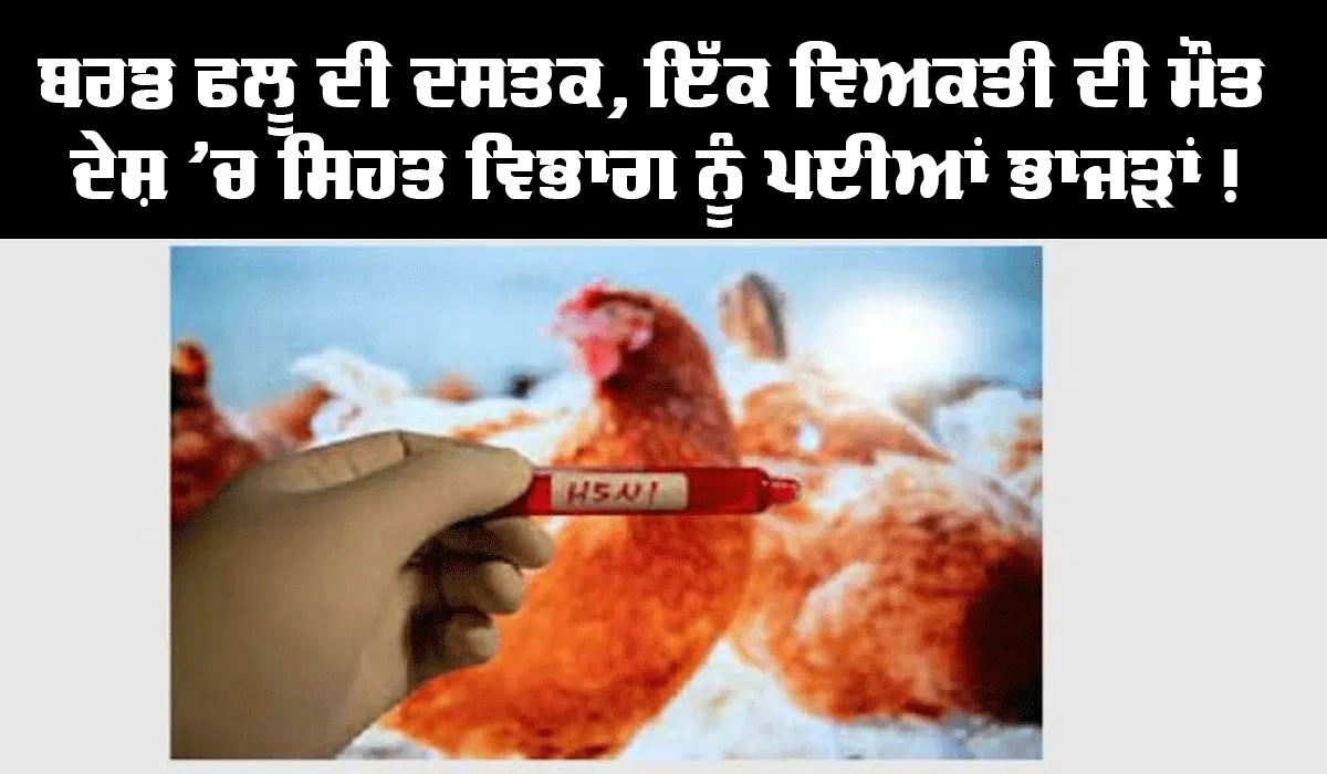 ਬਰਡ ਫਲੂ ਦੀ ਦਸਤਕ, ਇੱਕ ਵਿਅਕਤੀ ਦੀ ਮੌਤ