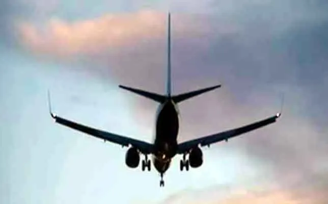 Brazil Plane Crashe: ਜਹਾਜ਼ ਕਰੈਸ਼, ਇੱਕ ਦੀ ਮੌਤ