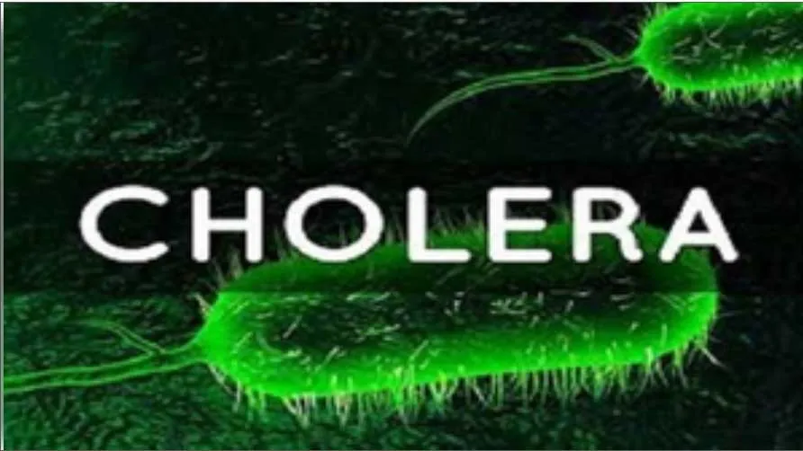 Cholera Cases: ਹੈਜ਼ੇ ਦੇ 119 ਮਾਮਲੇ ਸਾਹਮਣੇ ਆਏ, 12 ਮੌਤਾਂ