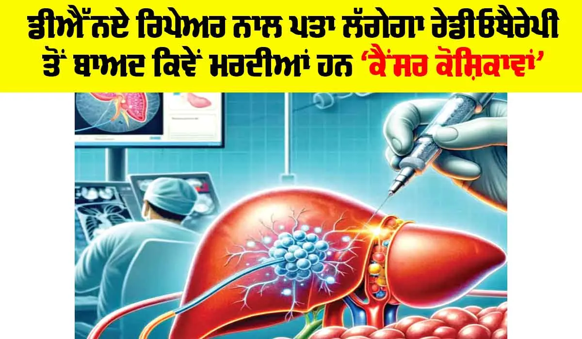Health News: DNA ਰਿਪੇਅਰ ਨਾਲ ਪਤਾ ਲੱਗੇਗਾ ਰੇਡੀਓਥੈਰੇਪੀ ਤੋਂ ਬਾਅਦ ਕਿਵੇਂ ਮਰਦੀਆਂ ਹਨ ਕੈਂਸਰ ਕੋਸ਼ਿਕਾਵਾਂ
