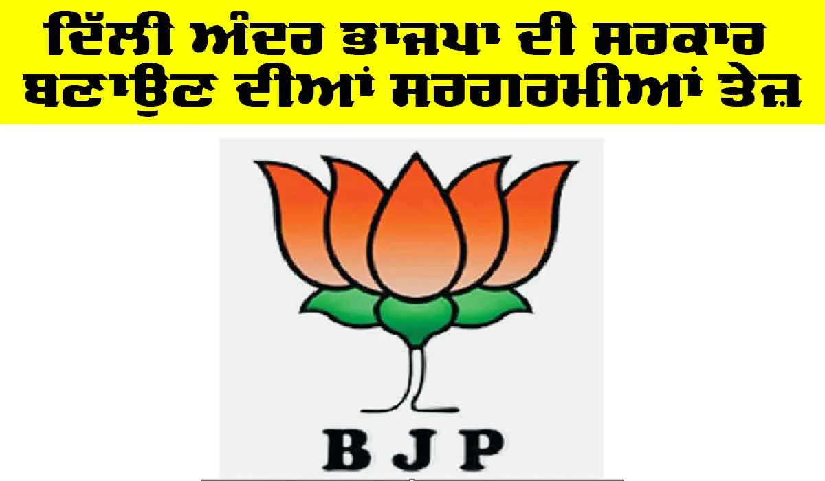 Government in Delhi: ਦਿੱਲੀ ’ਚ ਭਾਜਪਾ ਦੀ ਸਰਕਾਰ ਬਣਾਉਣ ਦੀਆਂ ਸਰਗਰਮੀਆਂ ਤੇਜ਼