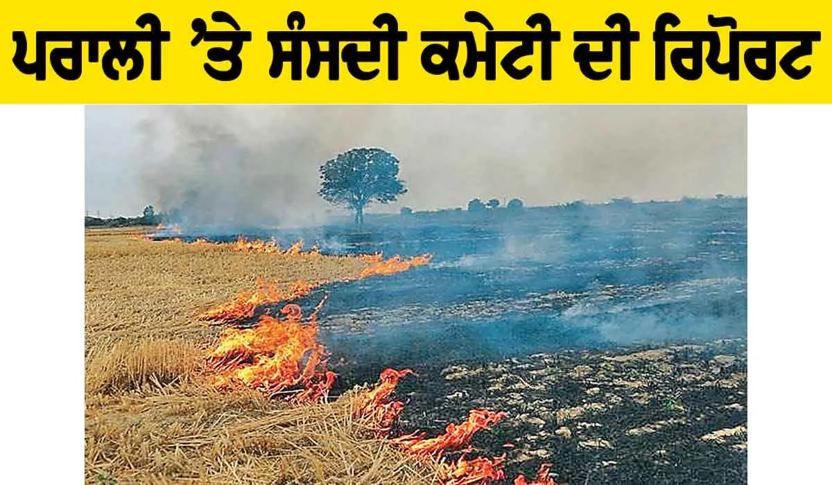 ਪਰਾਲੀ ’ਤੇ ਸੰਸਦੀ ਕਮੇਟੀ ਦੀ ਰਿਪੋਰਟ