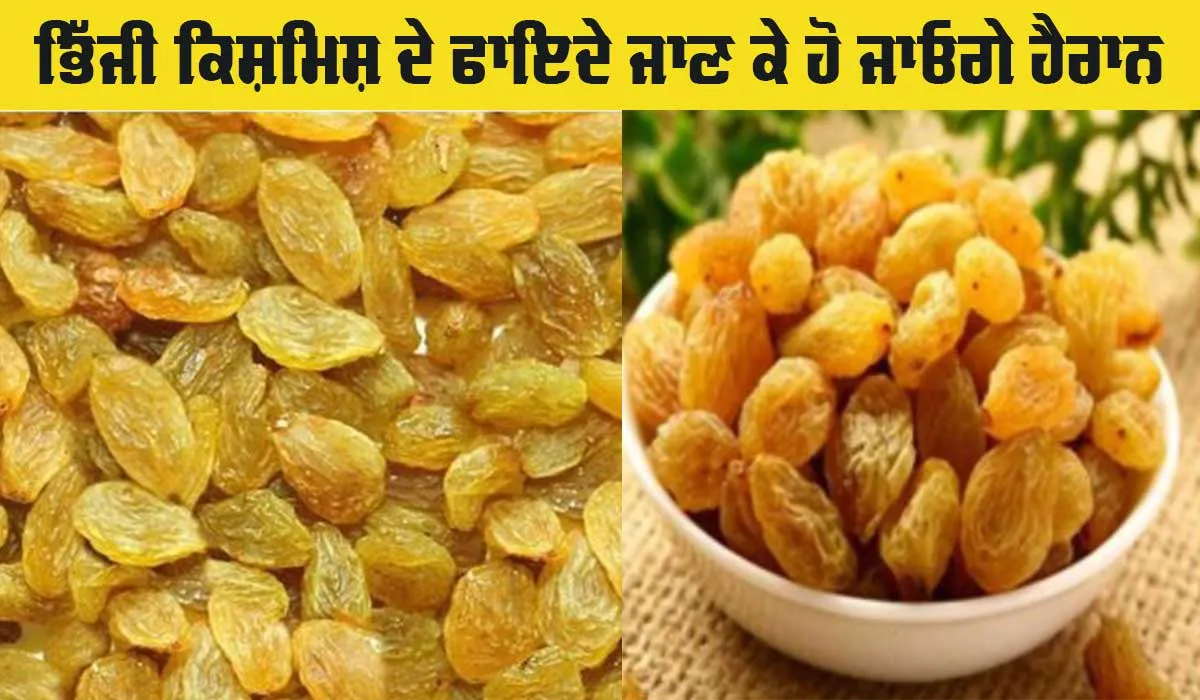 Benefits Of Raisins: ਭਿੱਜੀ ਕਿਸ਼ਮਿਸ਼ ਖਾਓ, ਹਮੇਸ਼ਾ ਸਿਹਤਮੰਦ ਰਹੋ