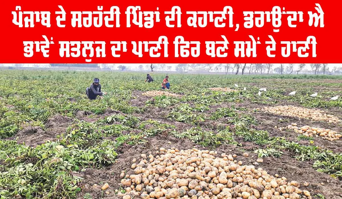 Border Villages of Punjab: ਪੰਜਾਬ ਦੇ ਸਰਹੱਦੀ ਪਿੰਡਾਂ ਦੀ ਕਹਾਣੀ, ਡਰਾਉਂਦਾ ਐ ਭਾਵੇਂ ਸਤਲੁਜ ਦਾ ਪਾਣੀ ਫਿਰ ਵੀ ਬਣੇ ਸਮੇਂ ਦੇ ਹਾਣੀ