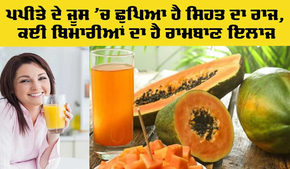 Papaya Juice Benefits: ਪਪੀਤੇ ਦੇ ਜੂਸ ’ਚ ਛੁਪਿਆ ਹੈ ਸਿਹਤ ਦਾ ਰਾਜ਼, ਇਹ ਕਈ ਬਿਮਾਰੀਆਂ ਦਾ ਰਾਮਬਾਣ ਇਲਾਜ ਹੈ